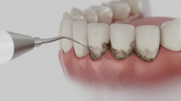 Reliable Dental contractor in Santa Cruz, CA by Dentist Open Now